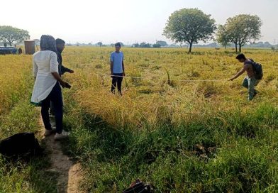 बेमौसम बारिश से प्रभावित फसल सर्वेक्षण अंतिम चरण में 