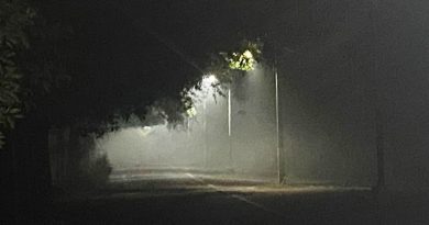 सर्द हवाओं और कोहरे ने शहर में बढ़ाई ठिठुरन, 100 मीटर बिजिबिलियटी, 1 घंटे लेट पहुंच रही ट्रेनें