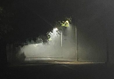 सर्द हवाओं और कोहरे ने शहर में बढ़ाई ठिठुरन, 100 मीटर बिजिबिलियटी, 1 घंटे लेट पहुंच रही ट्रेनें