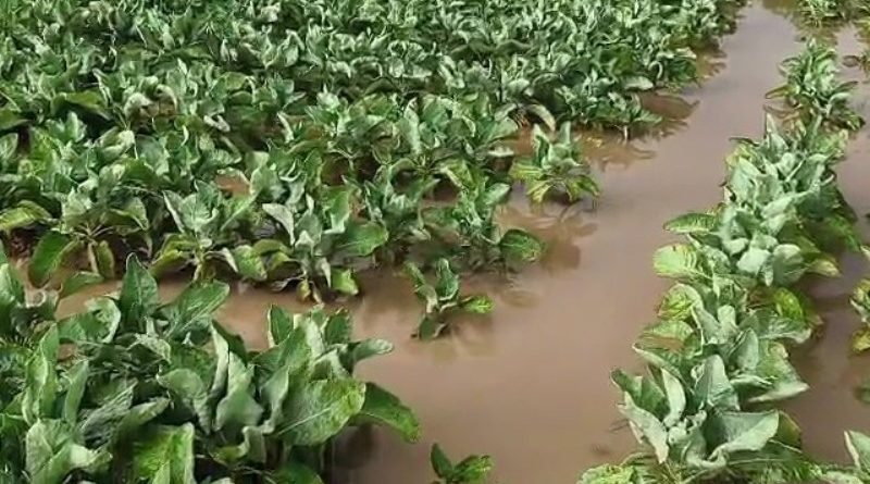 आधार कार्ड पर फोटो बदल कर किसान की बेंची जमीन