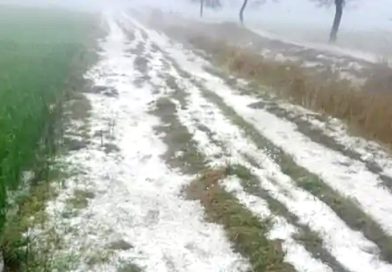 ओलावृष्टि के इलाके नहीं पहुंचे पटवारी, कलेक्टर ने किया निलंबित