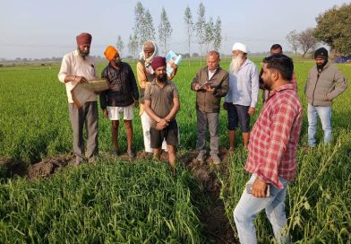 ओला प्रभावित ग्रामों में प्रारंभिक सर्वेक्षण हेतु कलेक्टर ने किया दल गठित 