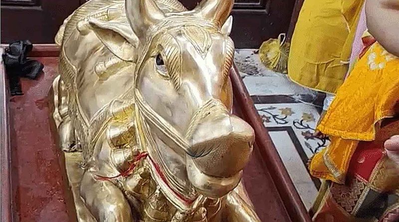 अचलेश्वर मंदिर में 200 किलोग्राम के नंदी किये गये स्थापित