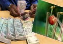 ग्वालियर में IPL सीजन में रोज 10 करोड़ तक का सट्टा, ऑनलाइन सट्टे की बड़ी मंडी का चौंकाने वाला सच