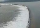हरसी बांध ओवरफ्लो, पार्वती सिंध नदी किनानरे के गांवों में अलर्ट