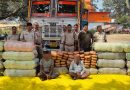 पुलिस की अवैध मादक पदार्थ -शहडोल में ट्रक से 735 किलो से अधिक गांजा जब्त, 2आरोपी गिरफ्तार