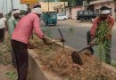 डिवाइडरों को साफ कर पौधों में डाली गोबर की खाद